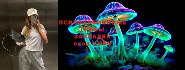 стаф Богданович